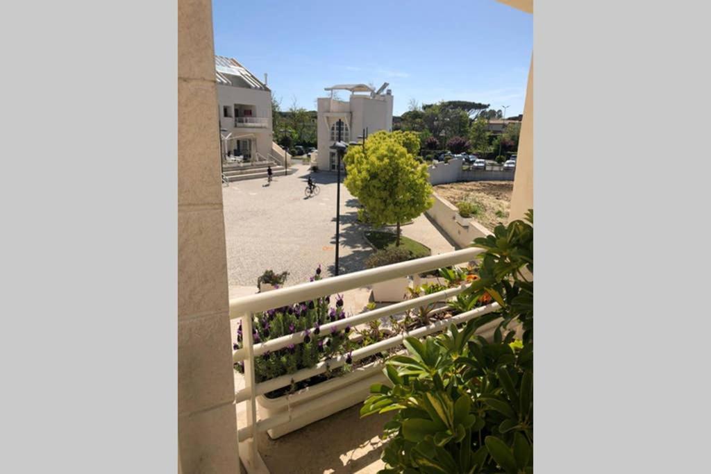 La Suite Sul Borgo Fregenae Luaran gambar