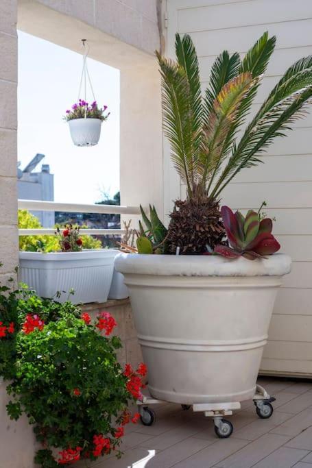 La Suite Sul Borgo Fregenae Luaran gambar